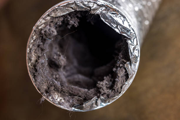 Best Affordable Duct Cleaning Services  in Waverly, NE